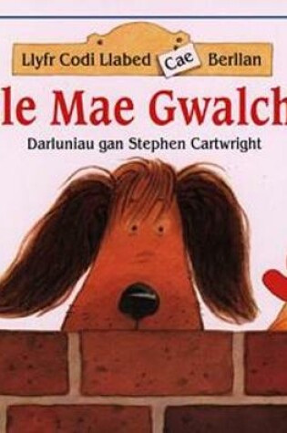 Cover of Llyfr Codi Llabed Cae Berllan: Ble Mae Gwalch?