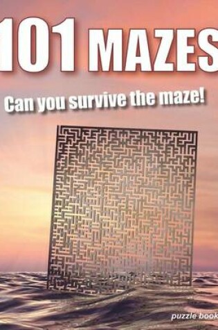 Cover of 101 Mazes