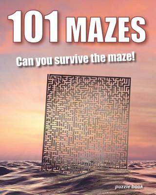 Book cover for 101 Mazes