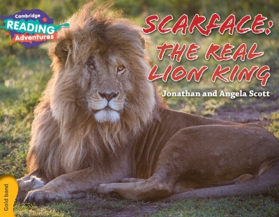 Book cover for Cambridge Reading Adventures Scarface: The Real Lion King Gold Band