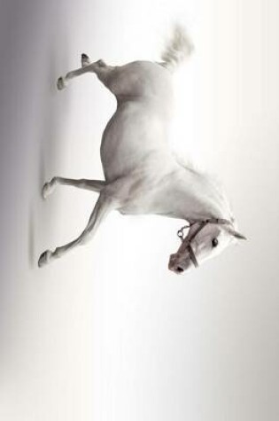 Cover of White Horse Prancing with Silver Background