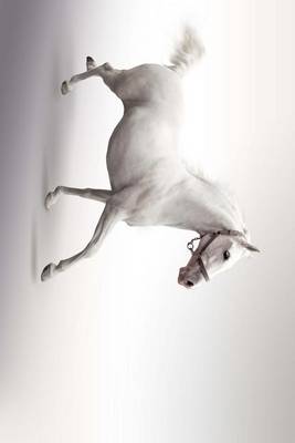 Book cover for White Horse Prancing with Silver Background