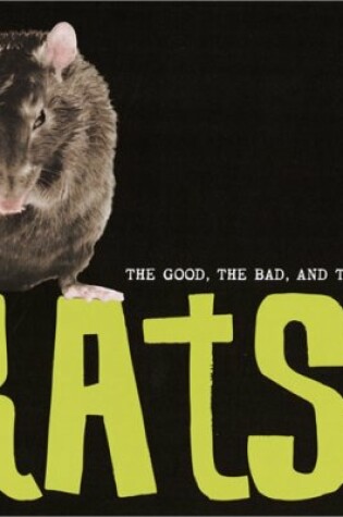 Cover of Rats!