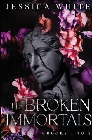 Cover of The Broken Immortals: Books 1-3