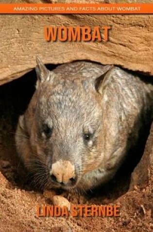 Cover of Wombat