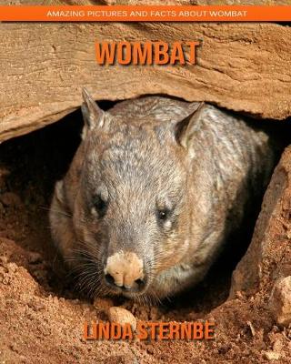 Book cover for Wombat