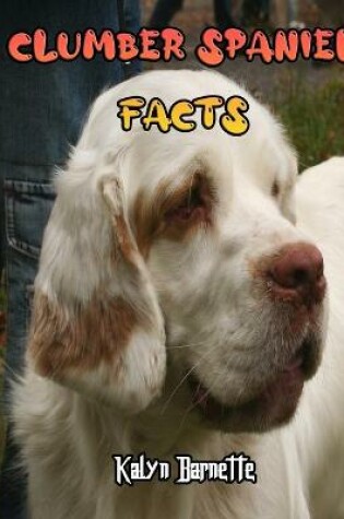 Cover of Clumber Spaniel Facts