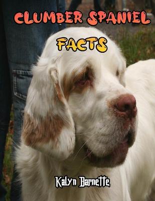 Book cover for Clumber Spaniel Facts