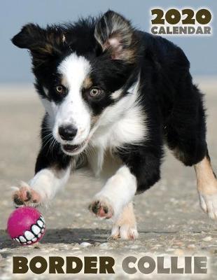 Book cover for Border Collie 2020 Calendar