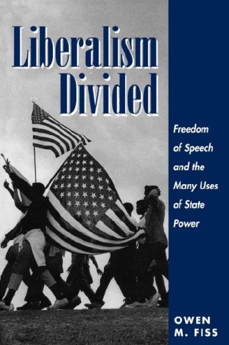 Book cover for Liberalism Divided