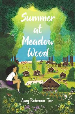 Book cover for Summer at Meadow Wood