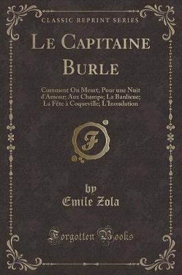 Book cover for Le Capitaine Burle