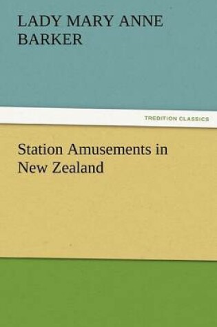 Cover of Station Amusements in New Zealand