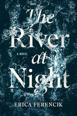 Book cover for The River at Night