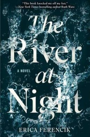 Cover of The River at Night