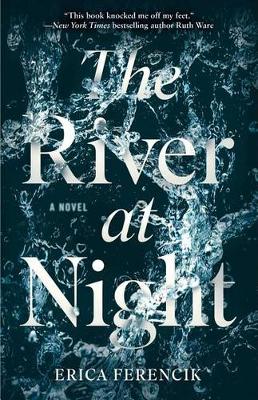 Book cover for The River at Night