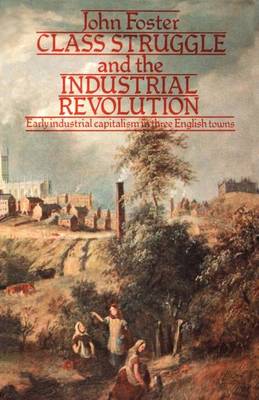 Book cover for Class Struggle and the Industrial Revolution