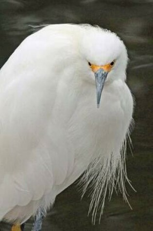 Cover of Egret Portrait Journal