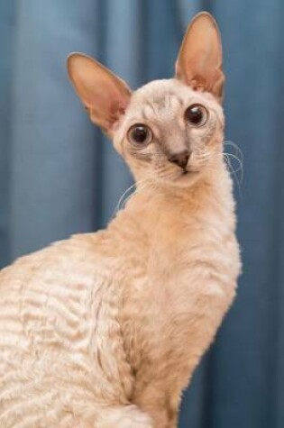 Cover of A Cornish Rex Cat Journal