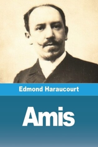 Cover of Amis