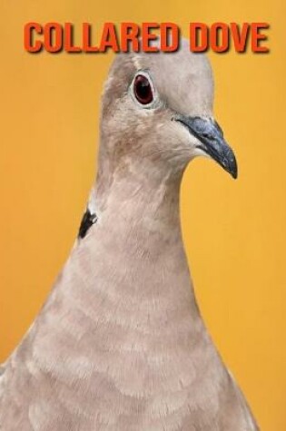 Cover of Collared Dove