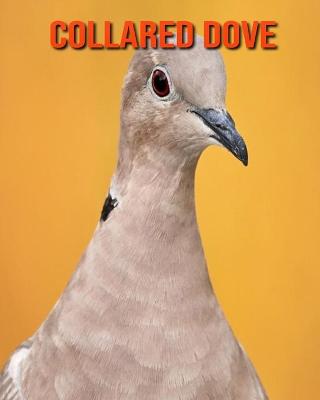 Book cover for Collared Dove