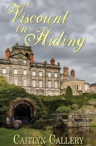 Cover of Viscount in Hiding