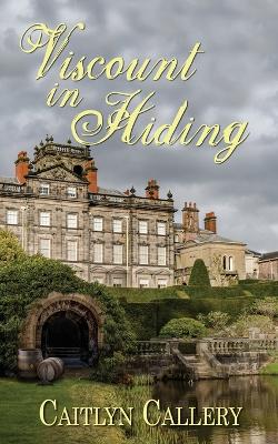 Book cover for Viscount in Hiding