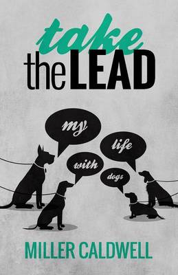 Book cover for Take the Lead