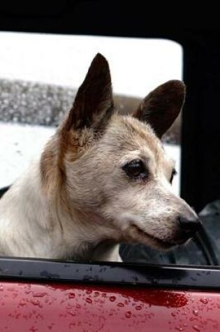 Cover of Cute Dog in a Truck Journal