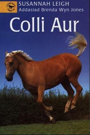 Cover of Cyfres Stablau'r Traeth: Colli Aur