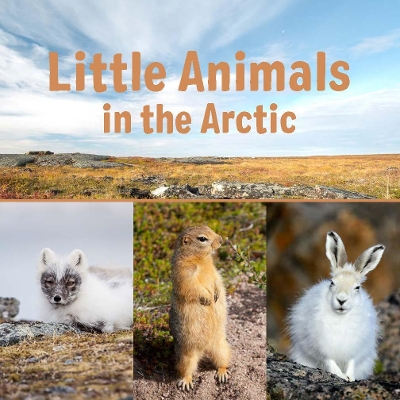 Book cover for Little Animals in the Arctic