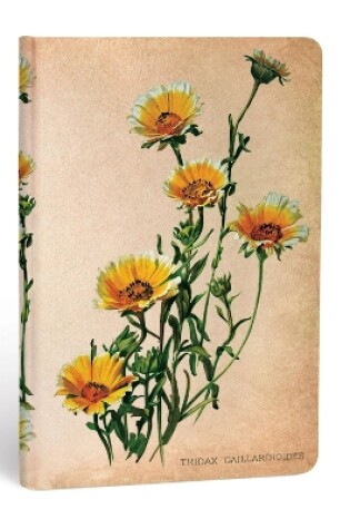 Cover of Woodland Daisies (Painted Botanicals) Mini Lined Hardcover Journal