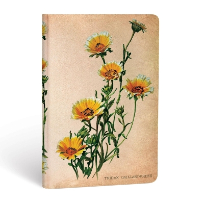 Book cover for Woodland Daisies (Painted Botanicals) Mini Lined Hardcover Journal