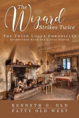 Book cover for The Wizard Strikes Twice