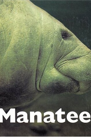 Cover of Manatees