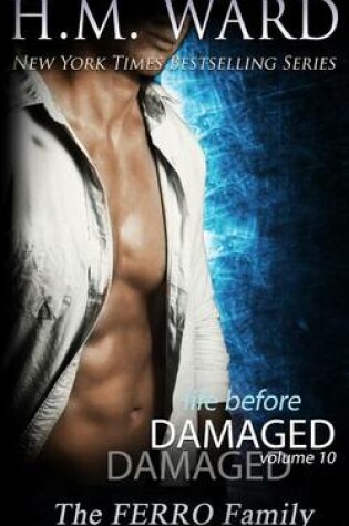 Cover of Life Before Damaged, Vol. 10 (The Ferro Family)