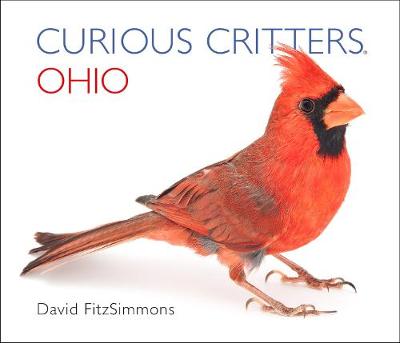 Book cover for Curious Critters Ohio