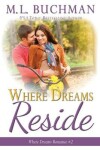 Book cover for Where Dreams Reside