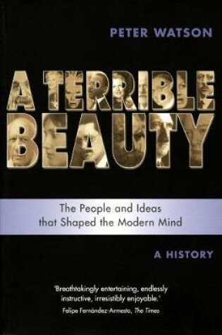 Cover of Terrible Beauty: A Cultural History of the Twentieth Century