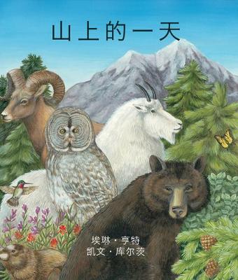 Book cover for A Day on the Mountain in Chinese