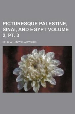 Cover of Picturesque Palestine, Sinai, and Egypt Volume 2, PT. 3