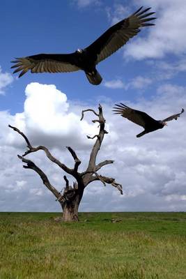 Book cover for Buzzards Over a Hanging Tree Journal