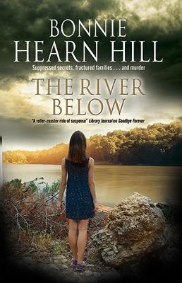 Book cover for The River Below