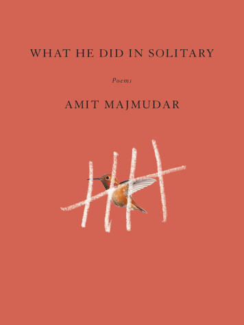 Book cover for What He Did in Solitary