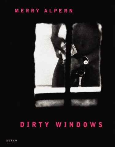 Book cover for Dirty Windows