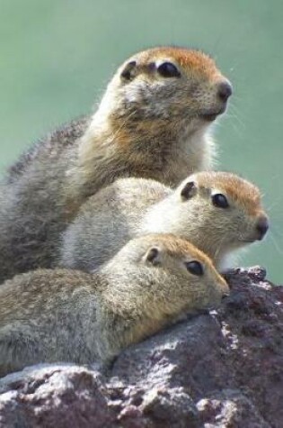 Cover of Cute Gopher Family Animal Portrait Journal