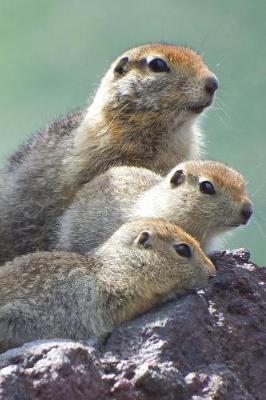 Book cover for Cute Gopher Family Animal Portrait Journal