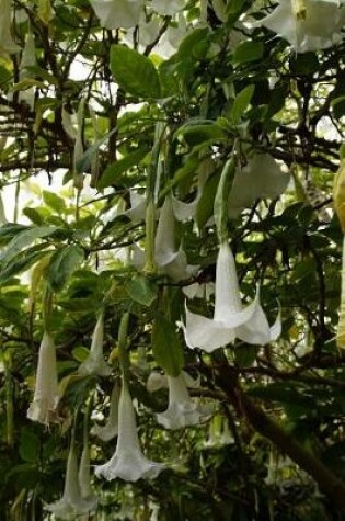 Cover of Charming White Catalpa Flowering Plant Gardening Journal