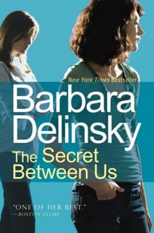Cover of The Secret Between Us